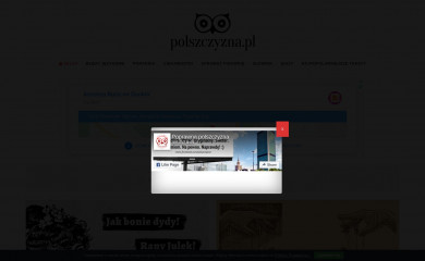 polszczyzna.pl screenshot
