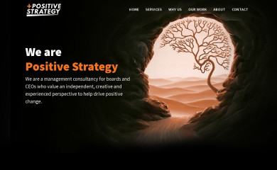 positivestrat.com screenshot