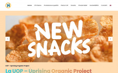 poppedsnacks.com screenshot
