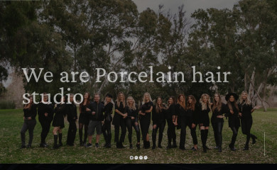 porcelainhairstudio.com screenshot