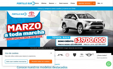 portillosur.cl screenshot
