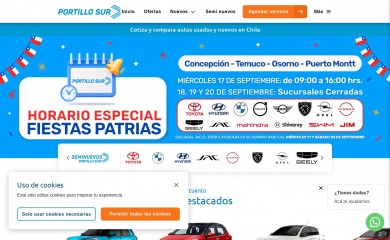 portillosur.cl screenshot