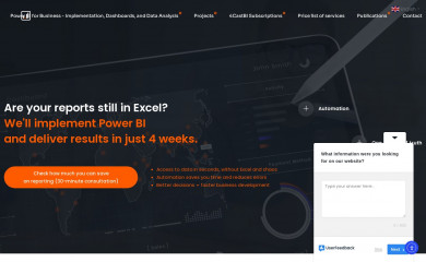 powerbi.com.pl screenshot