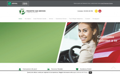 pozzettocar.com screenshot