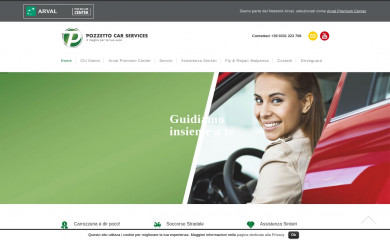 pozzettocar.com screenshot