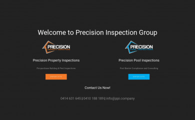 ppi.company screenshot