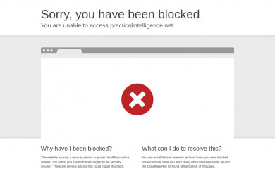 practicalintelligence.net screenshot