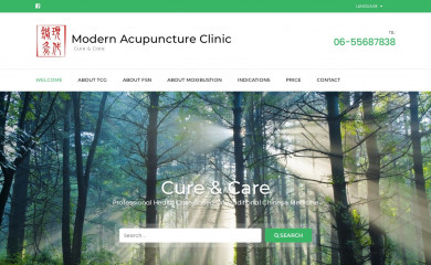 praktijkmodernacupunctuur.nl screenshot