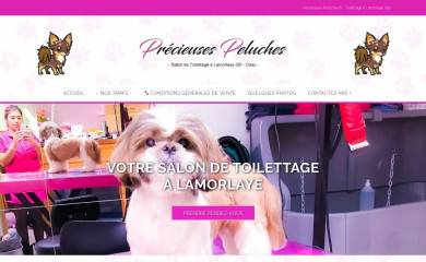 precieuses-peluches.fr screenshot