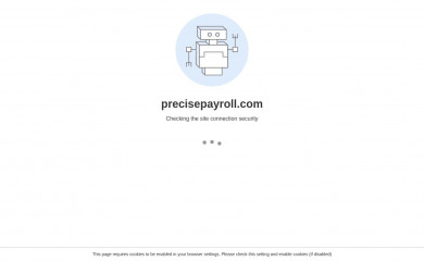 precisepayroll.com screenshot
