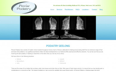 precisepodiatry.com screenshot