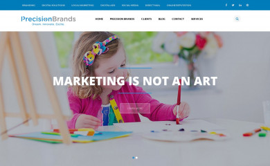 precisionbrandsny.com screenshot