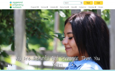 pregnancyoutreach.org screenshot