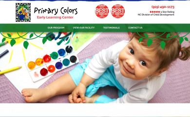primarycolorselc.com screenshot