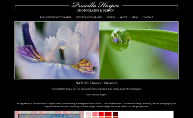 priscillaharperphotography.com screenshot