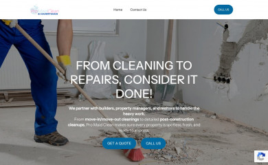 promaidclean.com screenshot