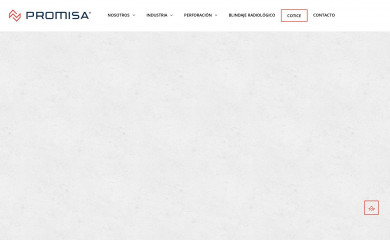 promisa.biz screenshot