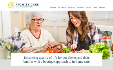 promisecareinc.com screenshot