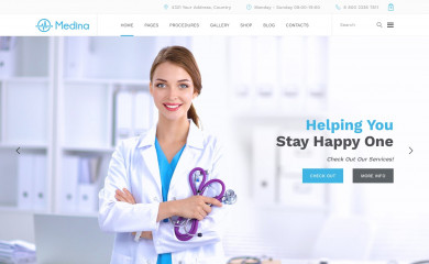 http://promo-theme.com/medina-wp/ screenshot