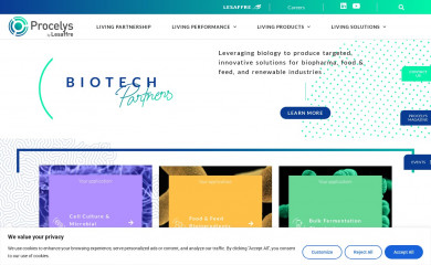 procelys.com screenshot
