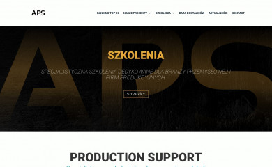 production-support.pl screenshot