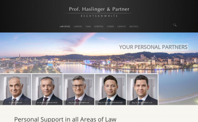 prof-haslinger.at screenshot