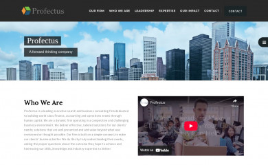 profectusllc.com screenshot