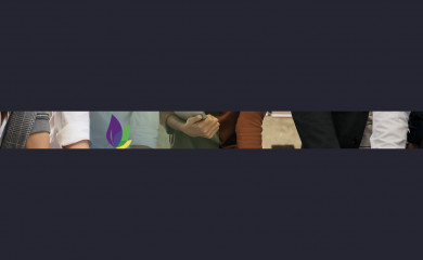 professionalchoicecollections.com screenshot
