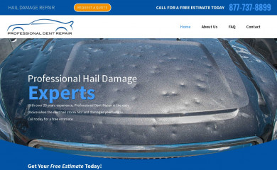 professionaldentrepairs.com screenshot