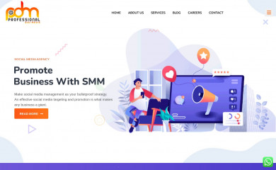 professionaldigimedia.com screenshot
