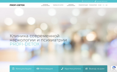 profi-detox.com.ua screenshot