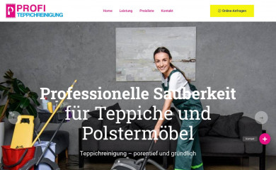 profi-teppichreinigung.at screenshot