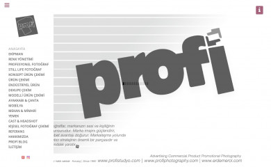 profistudyo.com screenshot