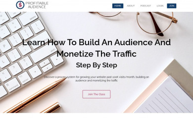 profitableaudience.com screenshot