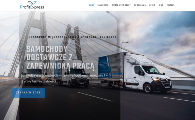 profitexpress.pl screenshot