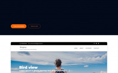 https://profoxstudio.com/themes/blogtay/ screenshot