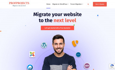 http://profprojects.com screenshot