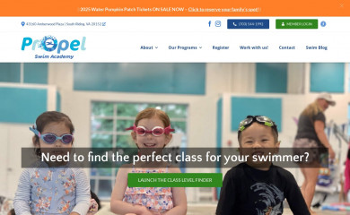 propelswimacademy.com screenshot