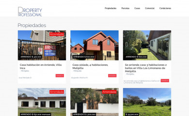 propertyprofessional.cl screenshot