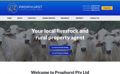 prophurst.com.au screenshot