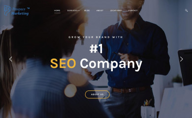 prospacemarketing.com screenshot