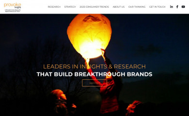 provokeinsights.com screenshot