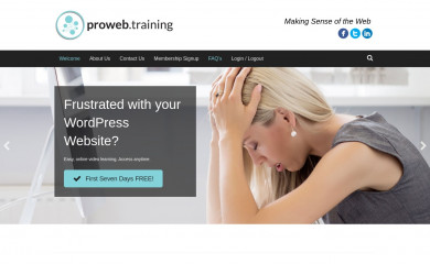 Proweb Proweb Child Theme WordPress Theme - ThemeDetect.com
