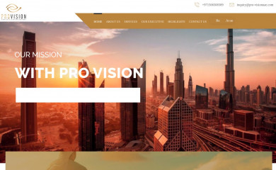 pro-visionuae.com screenshot