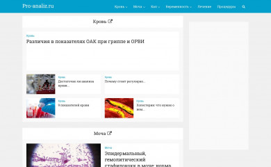 pro-analiz.ru screenshot