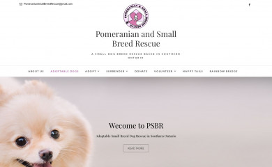 psbrescue.com screenshot
