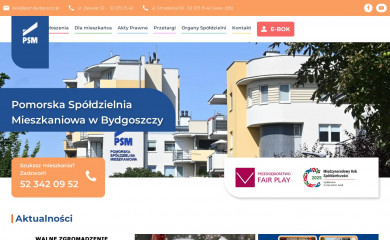 psm.bydgoszcz.pl screenshot