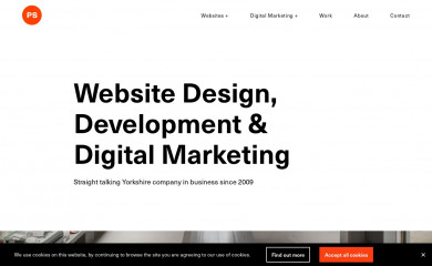 http://www.pswebsitedesign.com screenshot