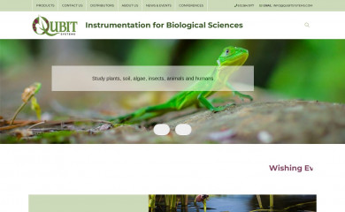 qubitsystems.com screenshot