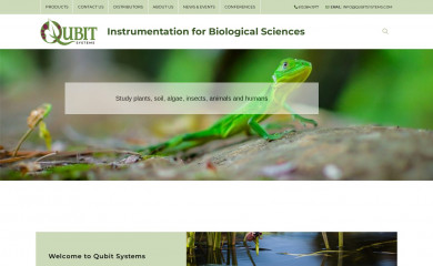 qubitsystems.com screenshot